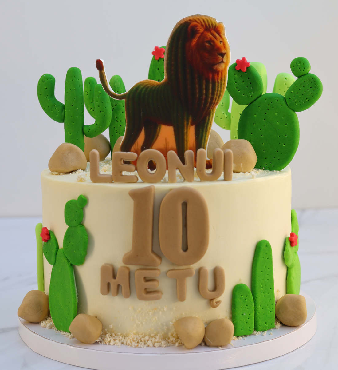 Торт Leonelli Cactuselli на 10 лет