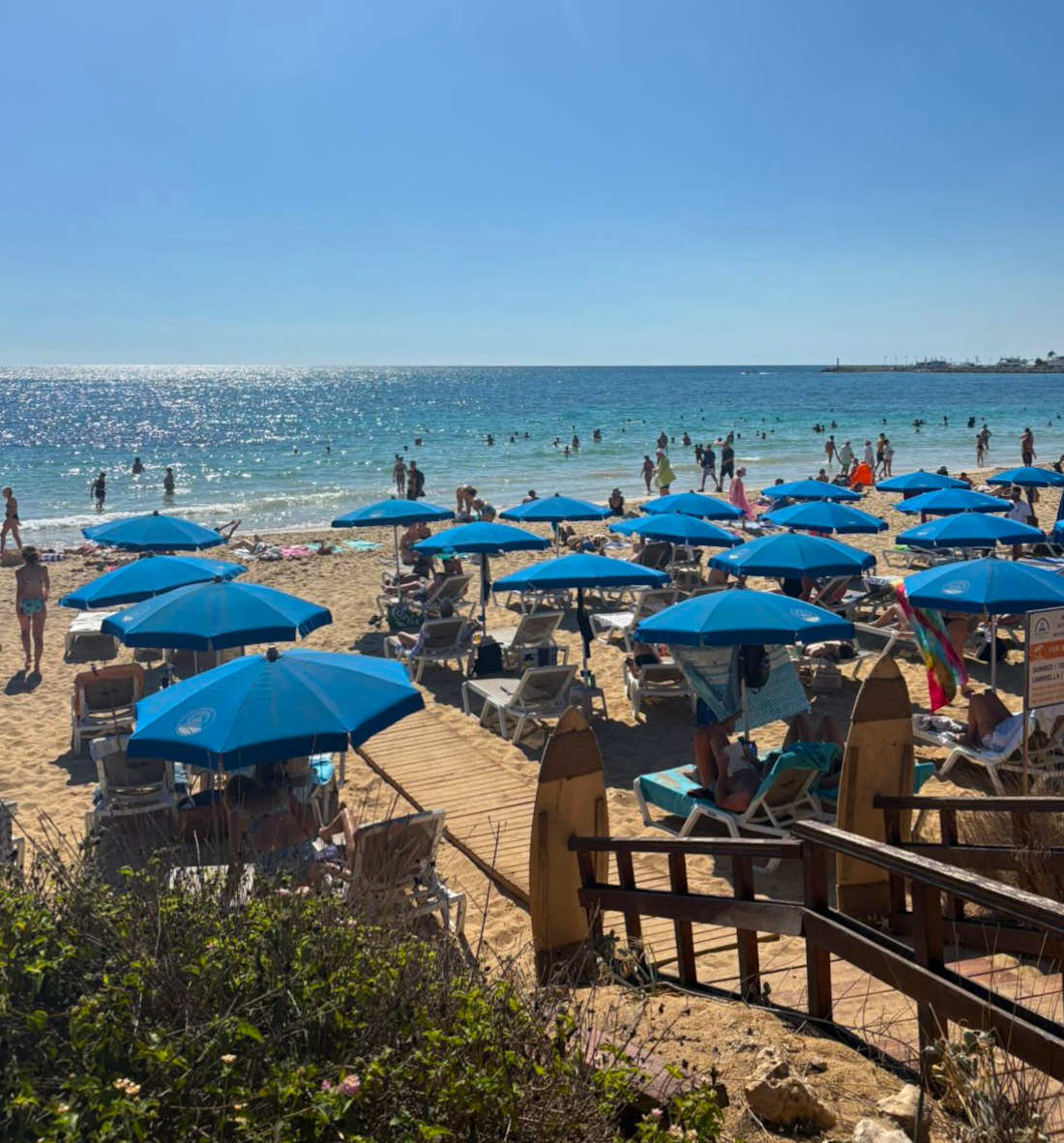 Paplūdimio nuotrauka, panaudota torto gamybai