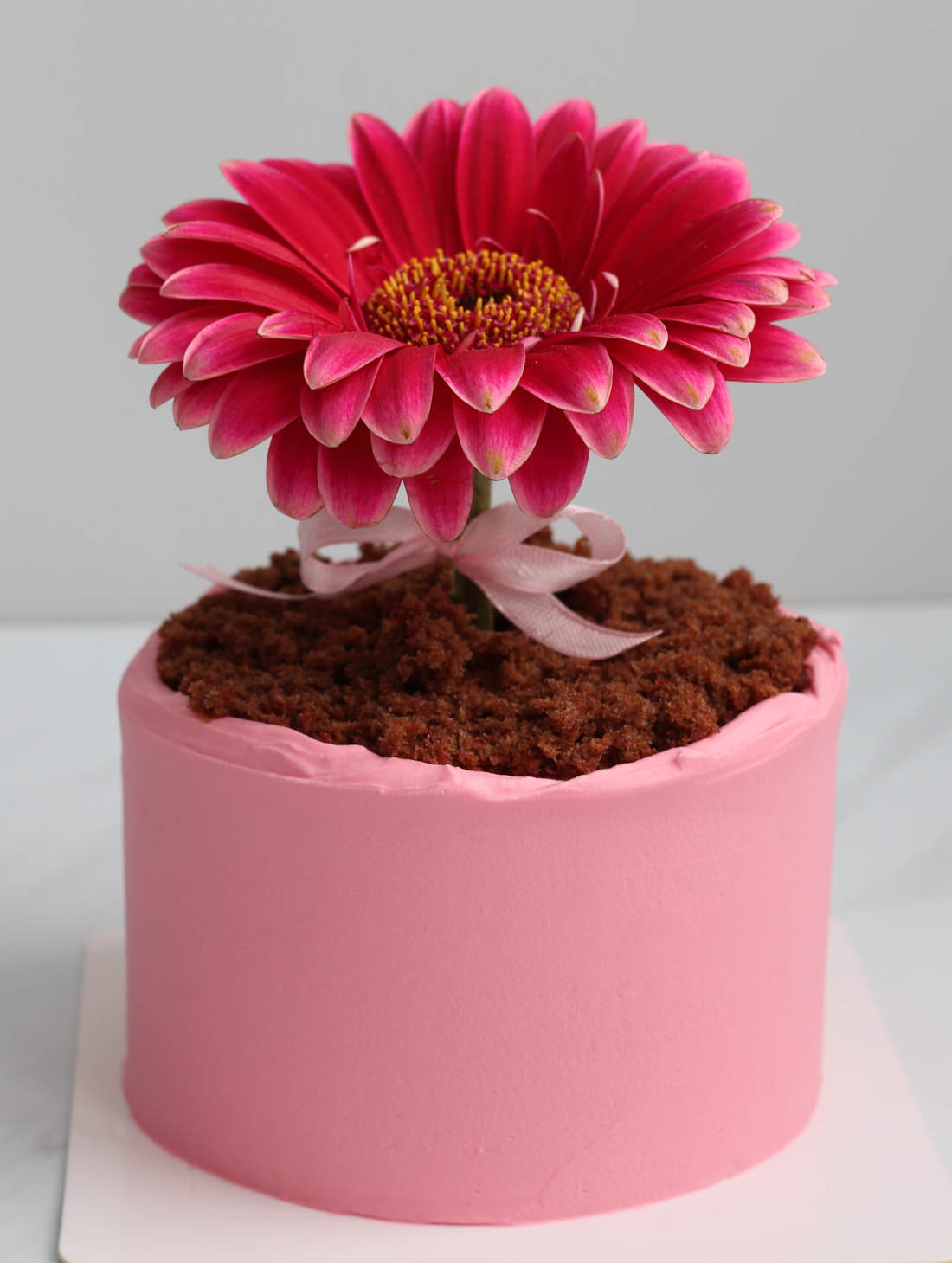 Gerbera on a pink cake