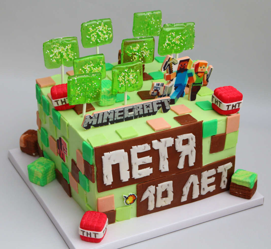 Minecraft cake for a girl's birthday