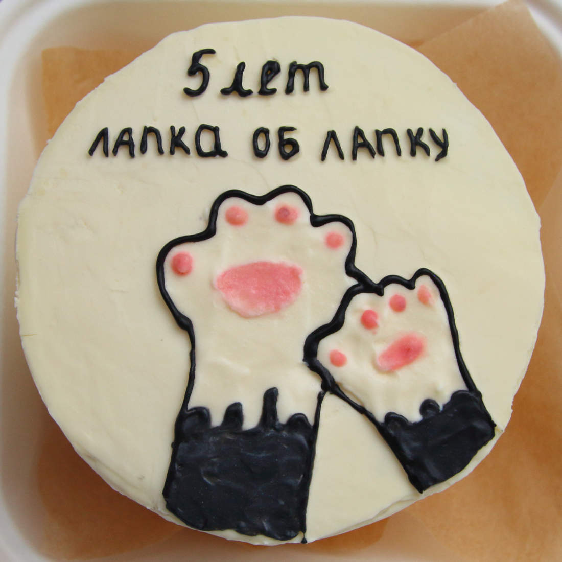 Кошачьи лапки на годовщину встречи
